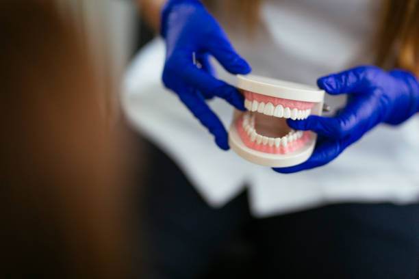  North Bay Shore, NY Holistic Dental Services Pros